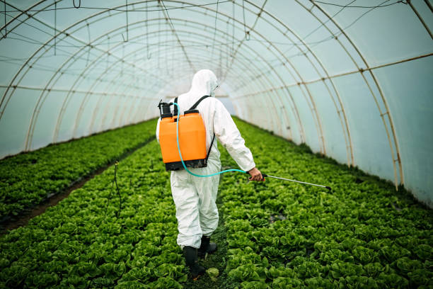 Best Mosquito Control Services  in Beaver Dam, WI