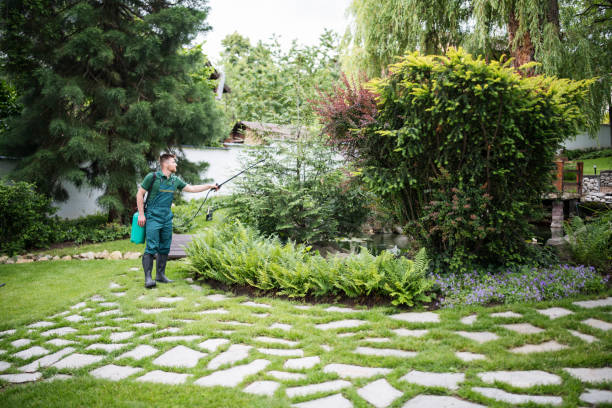 Best Residential Pest Control  in Beaver Dam, WI