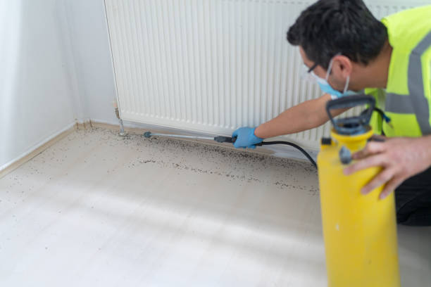 Wasp Removal Services in Beaver Dam, WI